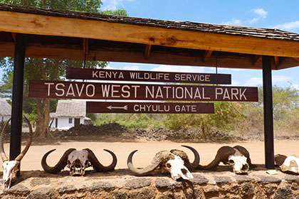 Tsavo West National Park Safari