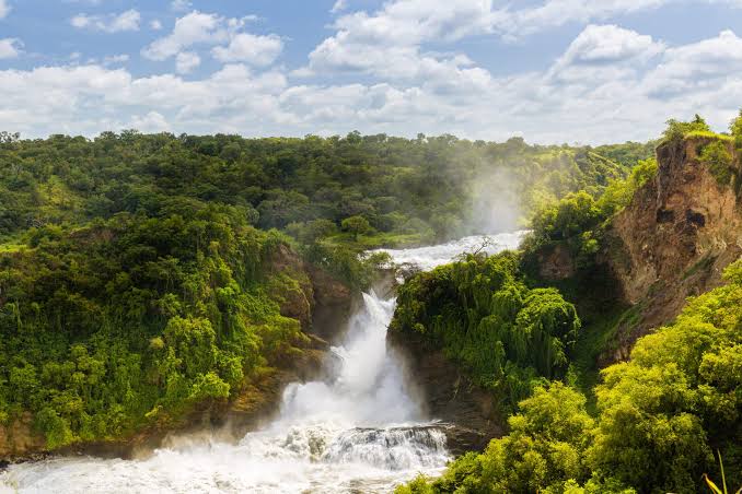 Murchison Falls National Park Safari